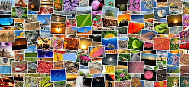 Creating a Collage Maker With Cloudinary