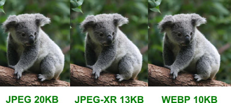 Automatically Reduce Image Size Without Losing Quality